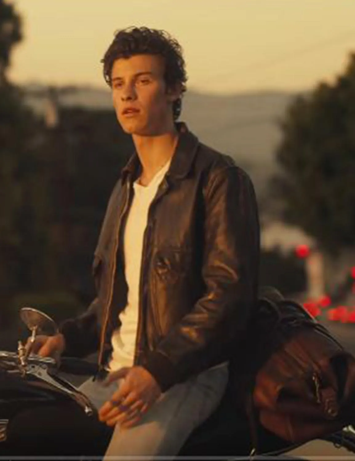 Senorita Shawn Mendes Leather Jacket - ujackets