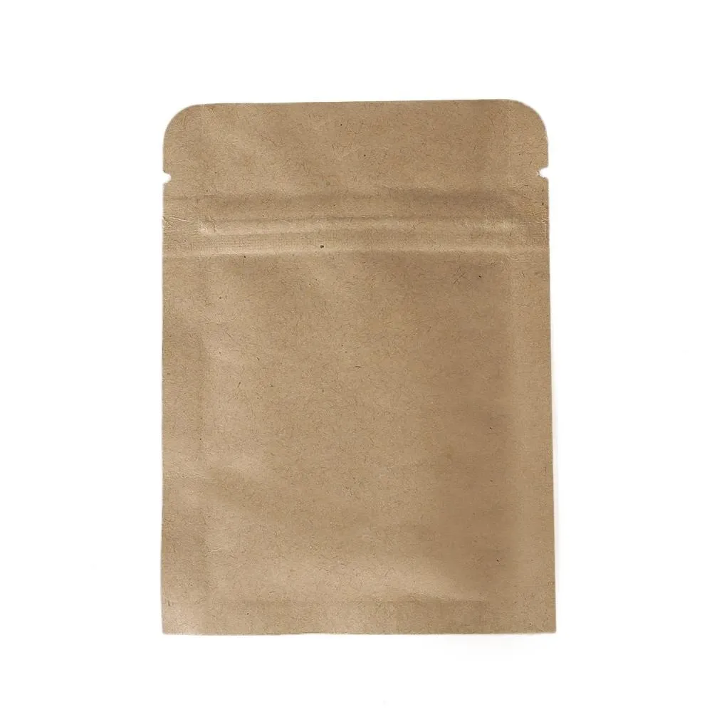 Special Offer Wholesale Ziplock Storage Kraft Paper Flat Bag Pouch 100pc